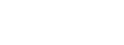 full audit logo